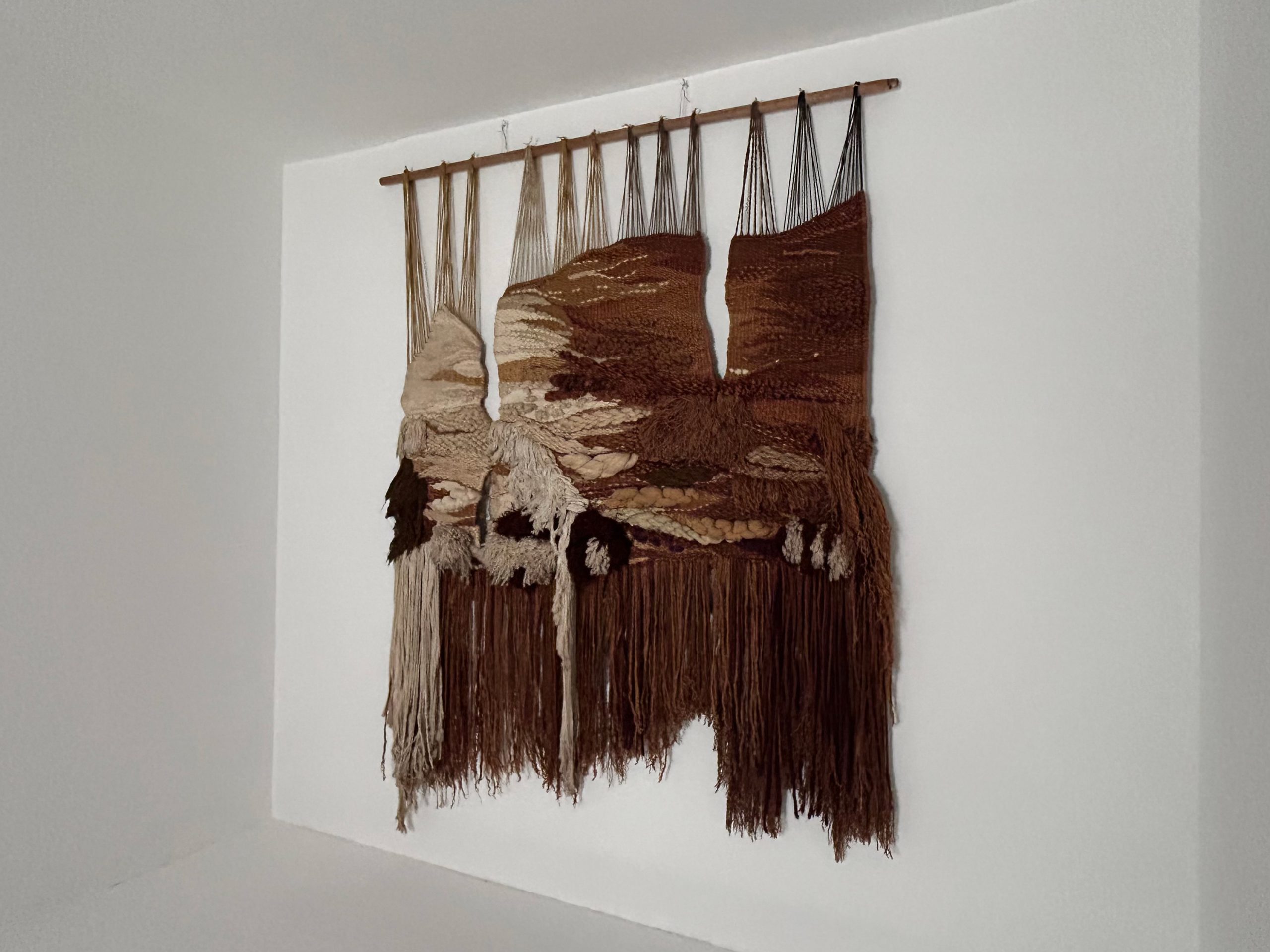 Macrame Wall Tapestry by Maria Asuncion Raventos