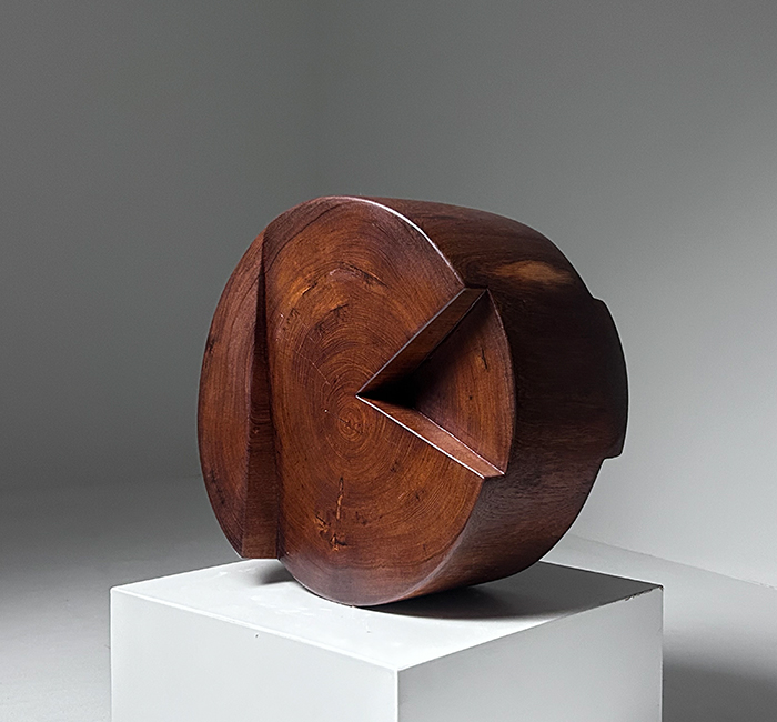 Cor Dam Organic Abstract Sculpture in Iroko