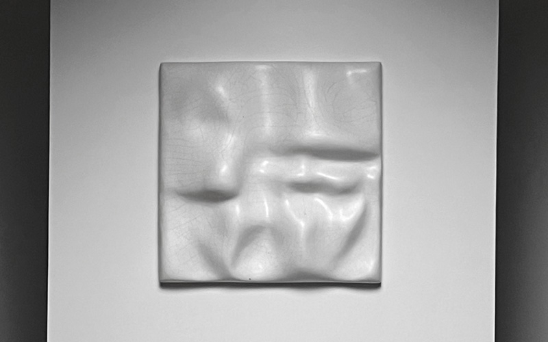 Cor Dam – Biomorphic Wall Relief