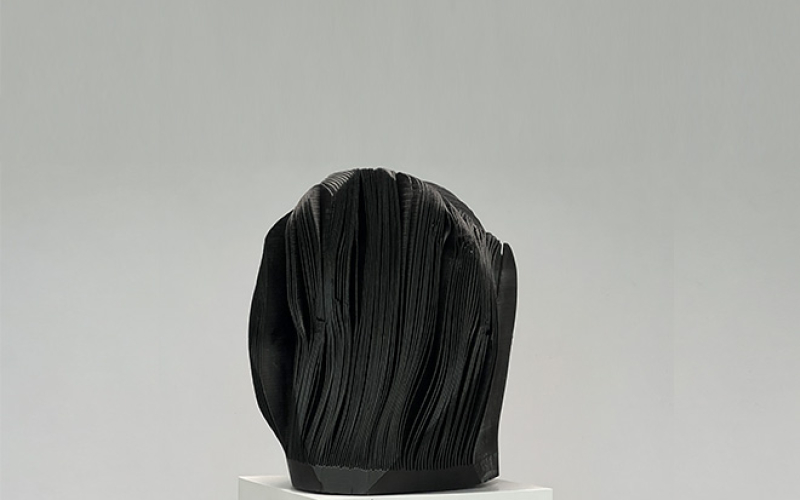 Large Organic Wood Sculpture