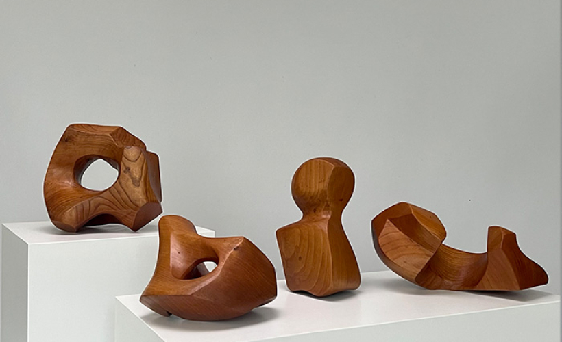 Set of Amorphous Shaped Wooden Sculptures
